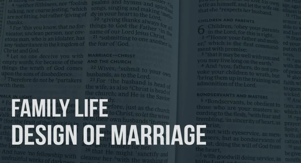 Family Life (3): Design of Marriage Image