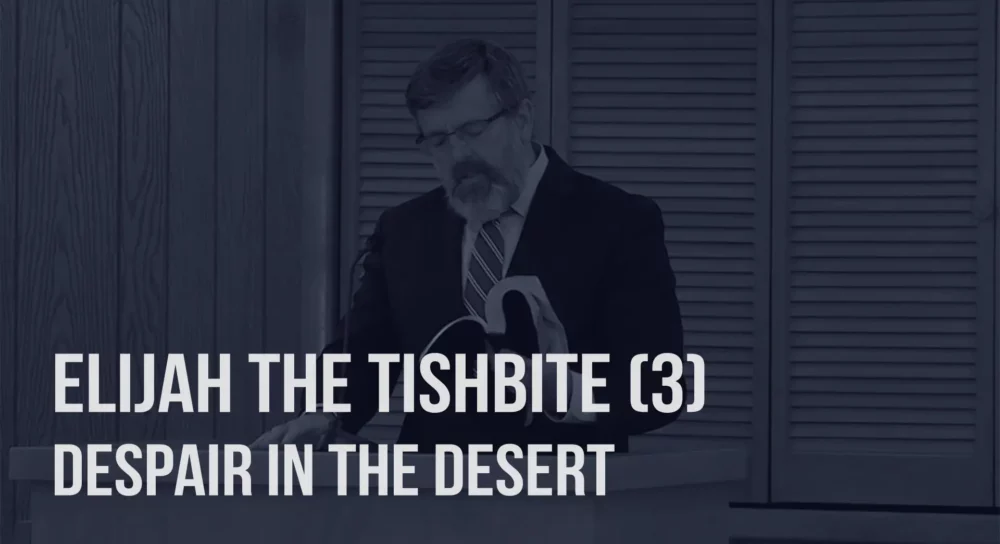 Elijah The Tishbite (3): Despair In The Desert Image