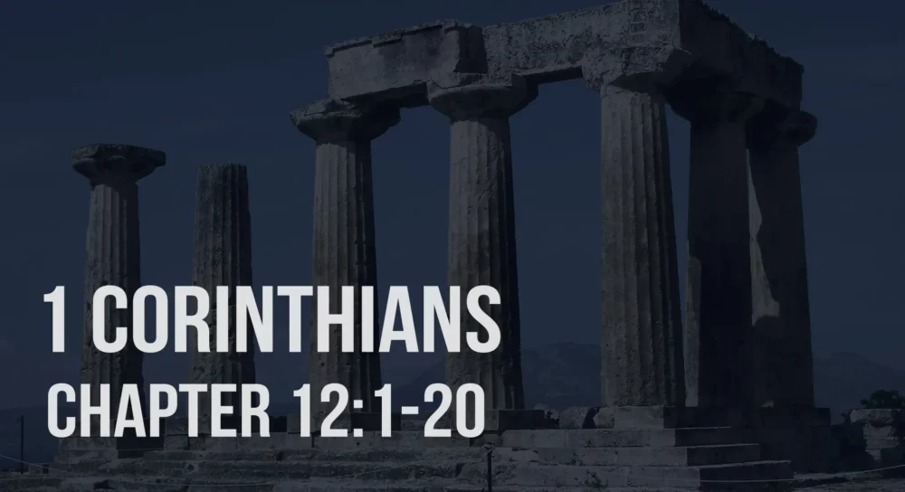 1 Corinthians 12:1-20 | Many Members In One Body Image
