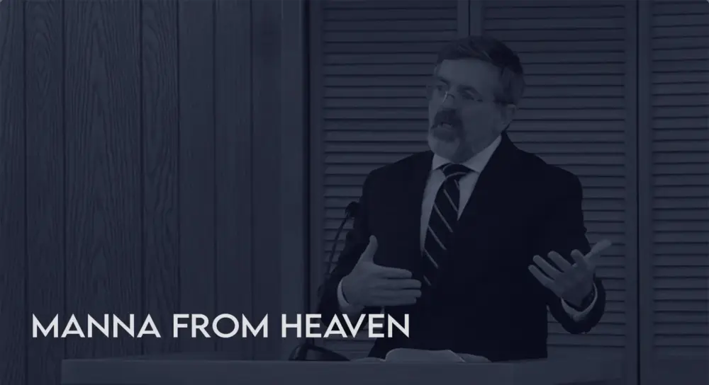 Manna From Heaven Image