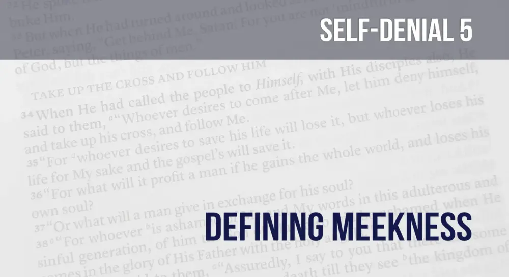 Learning To Deny Self (5): Defining Meekness Image
