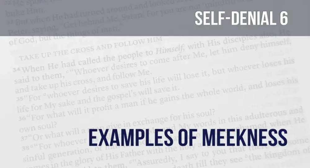 Learning To Deny Self (6): Examples of Meekness Image