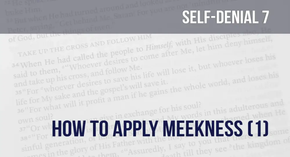 Learning To Deny Self (7): How To Apply Meekness (1) Image