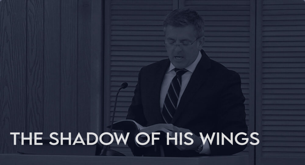 The Shadow of His Wings: Psalm 36 Image